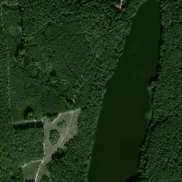 Satelita