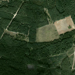 Satelita