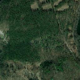 Satelita
