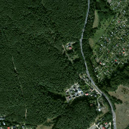 Satelita