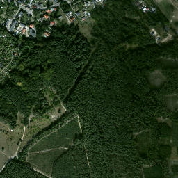 Satelita