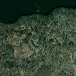 Satelita