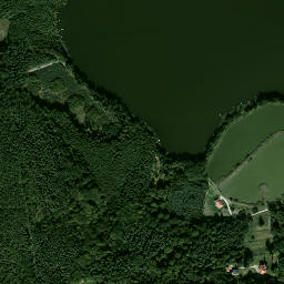 Satelita