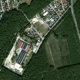 Satelita