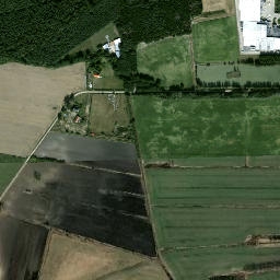 Satelita