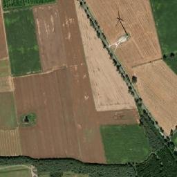 Satelita
