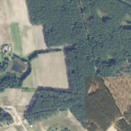 Satelita