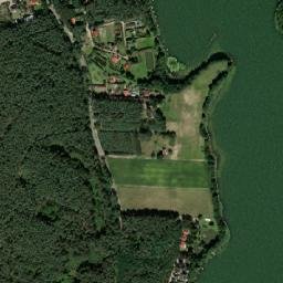 Satelita