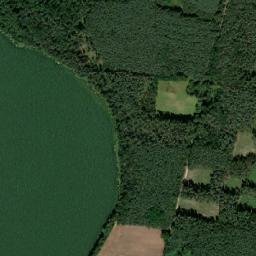 Satelita