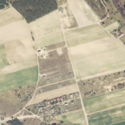 Satelita