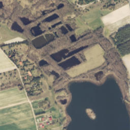Satelita