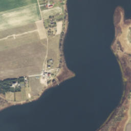 Satelita