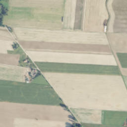 Satelita