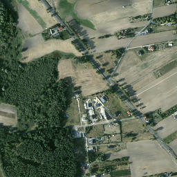 Satelita
