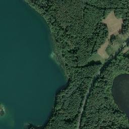 Satelita