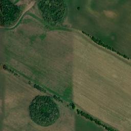 Zav’yalovskiy Rayon map(satellite map)