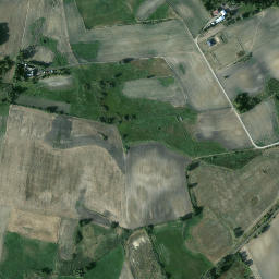 Satelita