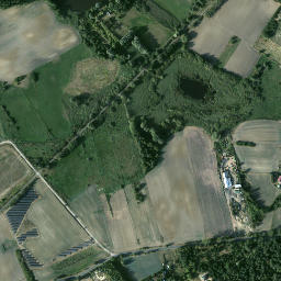Satelita