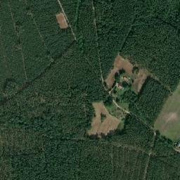 Satelita