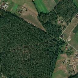 Satelita
