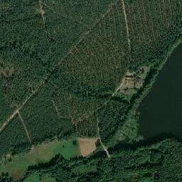 Satelita