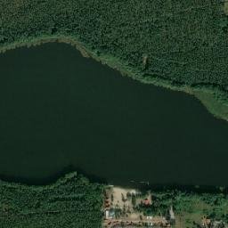 Satelita