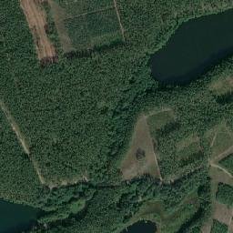 Satelita