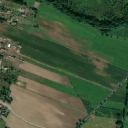 Satelita