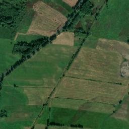 Satelita