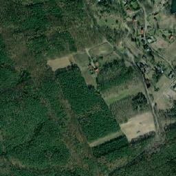 Satelita
