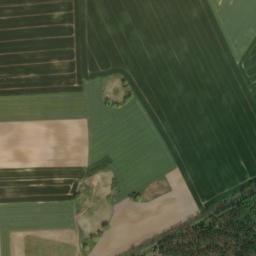Satelita