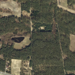 Satelita