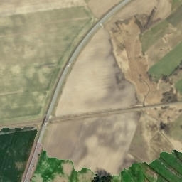 Satelita