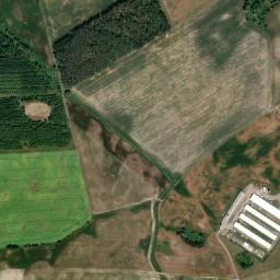 Satelita