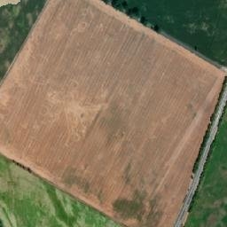 Satelita