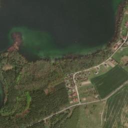 Satelita