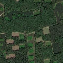 Powiat myśliborski map(satellite map)