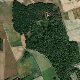 Satelita