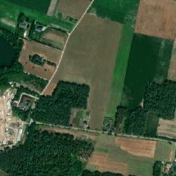 Satelita