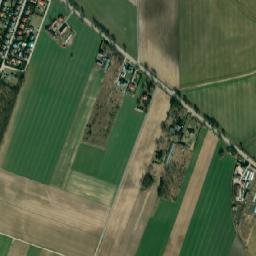 Satelita