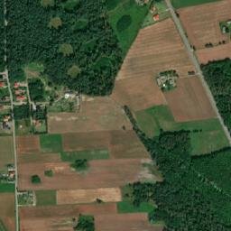 Satelita