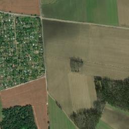 Satelita