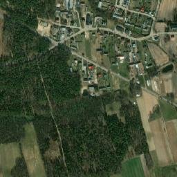 Wyszki map(satellite map)