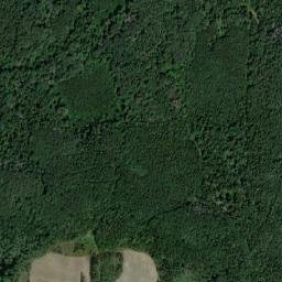Unechskiy Rayon map(satellite map)