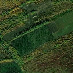Krasninskiy Rayon map(satellite map)