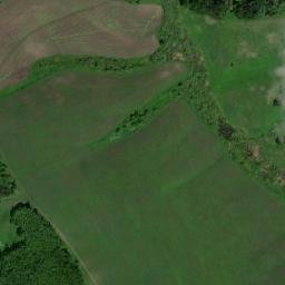 Soltonskiy Rayon map(satellite map)