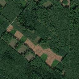 Satelita