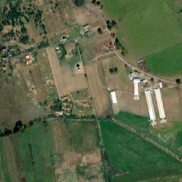 Satelita