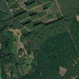 Satelita