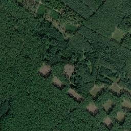 Satelita